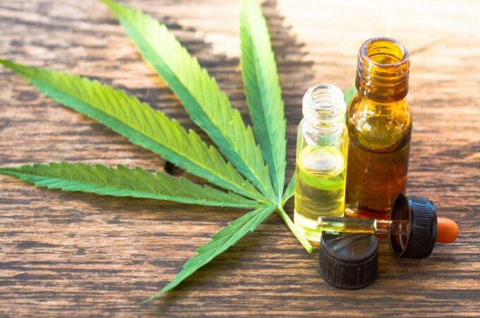 How can you use CBD oil as a beginner?