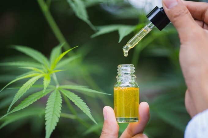 CBD For a Healthy Lifestyle