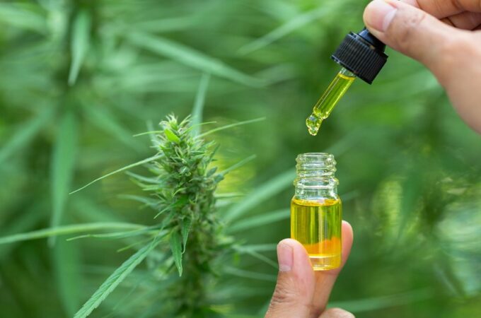 Quality and Functional Excellence of the natural CBD Oil brands