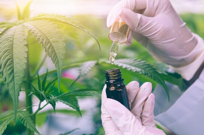 How Does Bioavailability Impact Medical Cannabis Effectiveness?