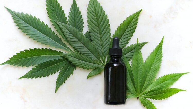 Guide 101 to Bookmark When You Buy CBD oil in India